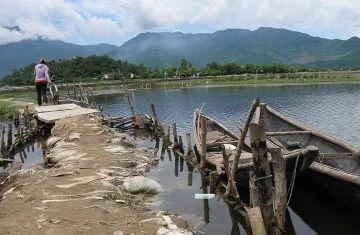 Ốc đảo ba không ảnh 1