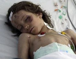 Cậu bé Hà Lan về nhà hôm nay ảnh 1