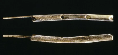 Nhạc cụ cổ nhất thế giới lộ diện ảnh 1