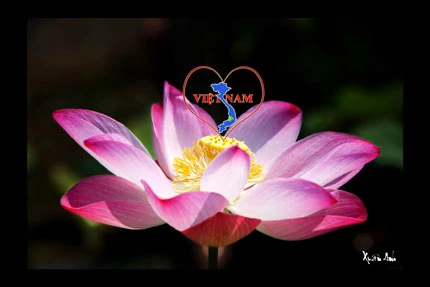 Giã từ dĩ vãng Thành “trọc” ảnh 3