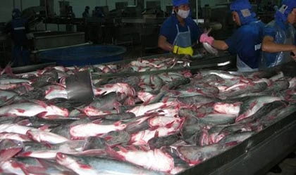 Công ty Bình An được bơm 500 tỉ đồng ảnh 1 Công ty Bình An được bơm 500 tỉ đồng ảnh 1