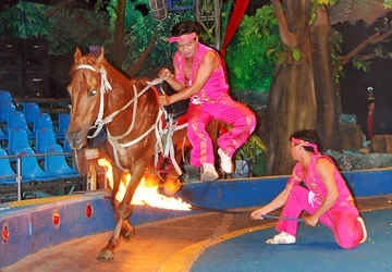 Luật phải sát với thực trạng biểu diễn ảnh 1 Luật phải sát với thực trạng biểu diễn ảnh 1