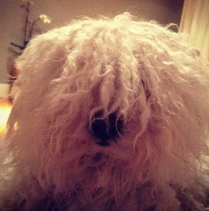 Những bức ảnh 'phai màu thời gian' của người nổi tiếng ảnh 11