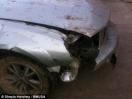 Người mẫu thoát chết nhờ ngực khổng lồ ảnh 5