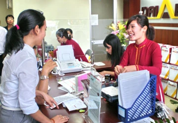 Ngân hàng nhỏ rục rịch lên sàn ảnh 1