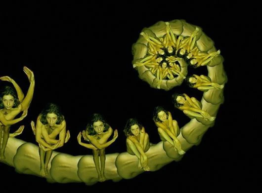 Hoa ghép từ cơ thể của những cô gái khỏa thân ảnh 6