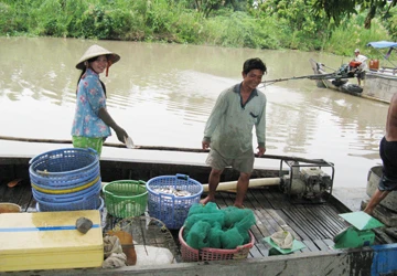 Vụ Nông trường Sông Hậu: Pháp luật và sự “thỏa đáng” ảnh 2 Vụ Nông trường Sông Hậu: Pháp luật và sự “thỏa đáng” ảnh 2