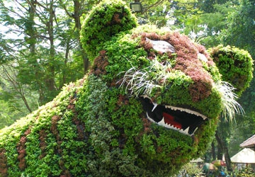 Thưởng thức nghệ thuật Mosai Culture và cho… cá rỉa ảnh 1