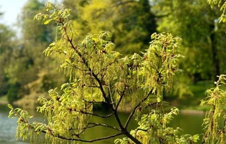 Chụp ảnh phong cảnh đẹp ảnh 3