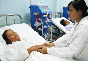 Chữ hiếu thời nay - Bài 4: …Gánh cả “giang san” nhà chồng ảnh 2