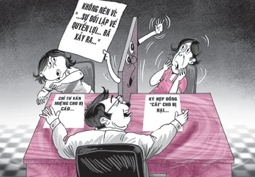 Tư vấn bên này, bảo vệ bên kia ảnh 1