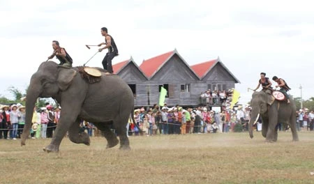 Mở hội đua voi ảnh 1