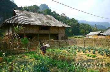 Thanh bình thung lũng Tam Sơn ảnh 9