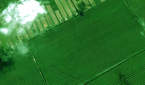 Xúc động ngắm mũi Cà Mau từ vũ trụ ảnh 8 Xúc động ngắm mũi Cà Mau từ vũ trụ ảnh 8