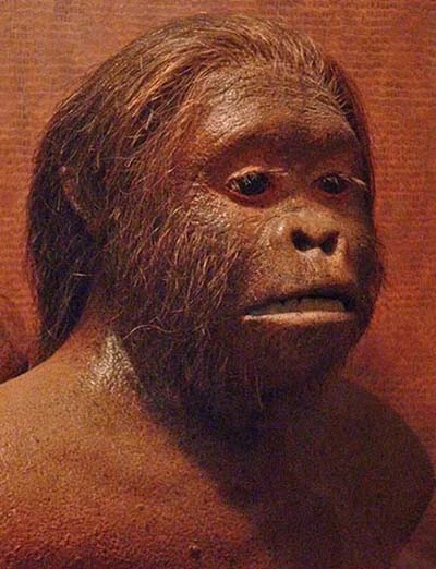 Những phát hiện xác định nguồn gốc loài người ảnh 3