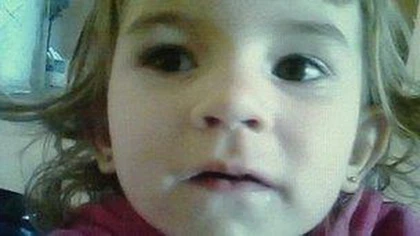 Chú chó cứu sống bé 3 tuổi ảnh 1