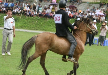 Đua ngựa thồ trên rẻo cao ảnh 3