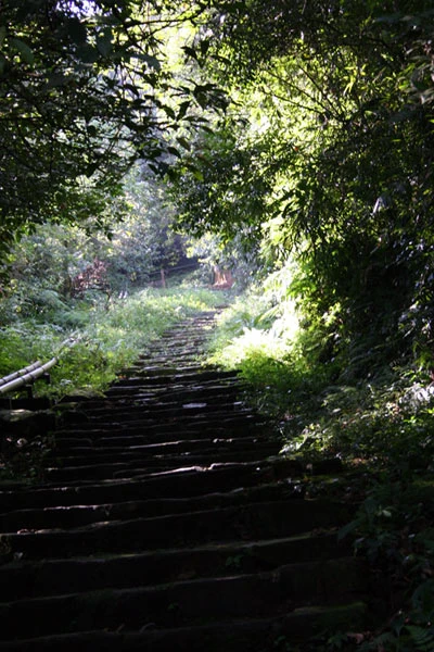 Tam Đảo hớp hồn du khách dịp nghỉ Lễ ảnh 4