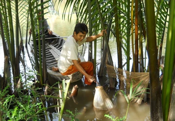 Săn tôm càng xanh ảnh 2