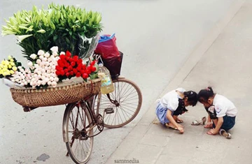 Gánh hàng hoa ảnh 1