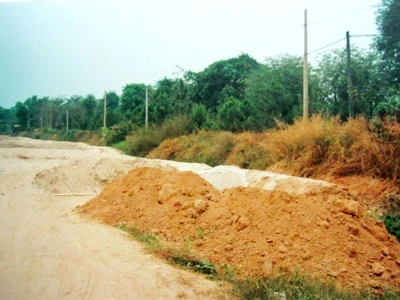 Đêm kinh hoàng của 2 cậu bé song sinh ảnh 2