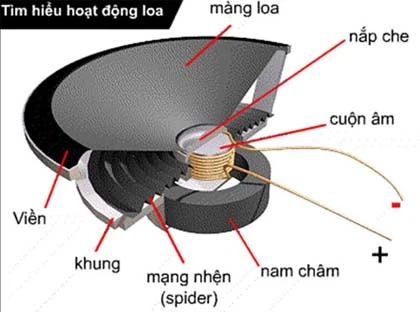 Tìm hiểu hoạt động của loa - cơ bản về âm thanh ảnh 3
