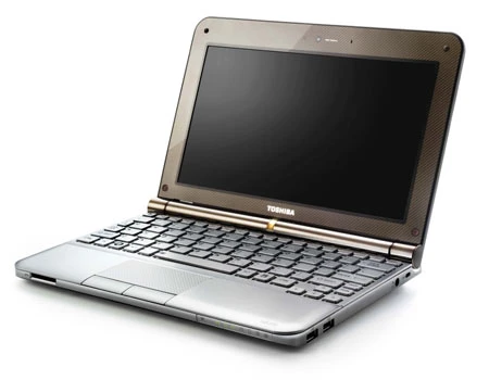 Laptop mini NB200 - "tác phẩm nghệ thuật mới" của Toshiba ảnh 3