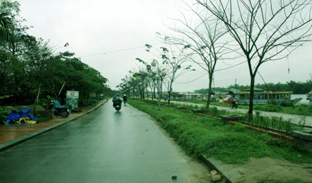 Đề nghị đặt tên đường Trịnh Công Sơn ở ven hồ Tây ảnh 1