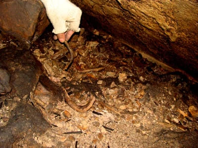 Cuộc gom xương rùng rợn và hành trình xuống cõi "âm ty" ảnh 7