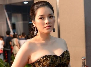 Lý Nhã Kỳ rút khỏi cuộc đua làm đại sứ du lịch ảnh 1