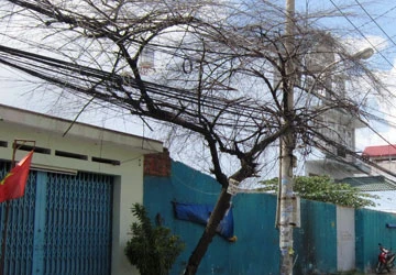 Thông tin từ bạn đọc ảnh 1