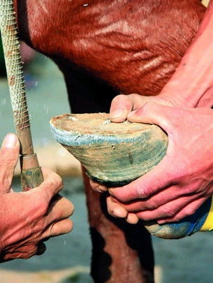 Người đóng móng ngựa cuối cùng ở Phú Thọ ảnh 3