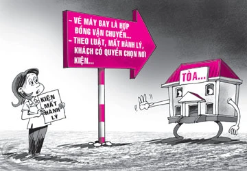 Đi máy bay mất hành lý, kiện ở tòa nào? ảnh 1