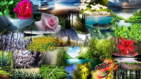 Tuyệt đẹp bộ sưu tập hình nền và giao diện dành cho người yêu thiên nhiên ảnh 15 Tuyệt đẹp bộ sưu tập hình nền và giao diện dành cho người yêu thiên nhiên ảnh 15