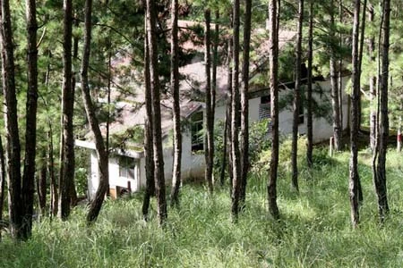 Giải mã bí ẩn “ngôi nhà ma” ở Đà Lạt ảnh 3