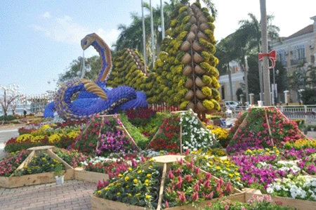 Xem rắn hoa “khủng” nhả ngọc bên bờ Hàn Giang ảnh 8