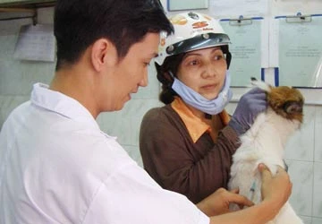 Cận đát đăng ký “hộ khẩu” cho chó, mèo ảnh 1