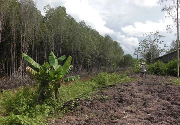 Mất rừng do... bảo vệ rừng ảnh 3