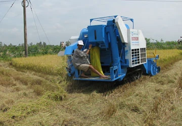 Cánh đồng mẫu lớn - Bài 2: Chưa kết hợp nông công nghiệp ảnh 1