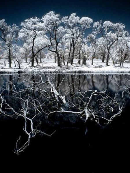 Độ tương phản màu đẹp lạ qua ảnh hồng ngoại ảnh 27