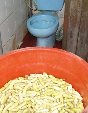 Nhiều lò làm mứt bẩn không chịu nổi ảnh 2