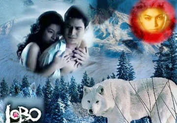 VTV9 dành khung giờ chiếu phim châu Á ảnh 1