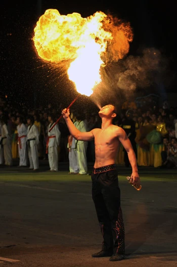 Đêm hội Carnaval Hạ Long rực rỡ sắc màu ảnh 7