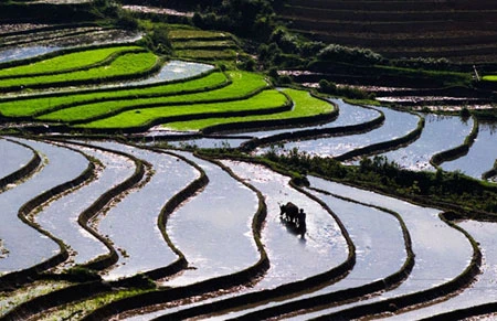 Ngắm Sapa trong vụ cấy mới ảnh 5