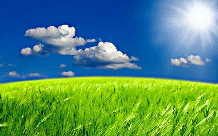 Màn hình desktop rực rỡ với bộ hình nền “nắng hè” ảnh 31