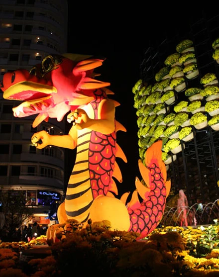 Chen lấn trên đường hoa Nguyễn Huệ ảnh 7