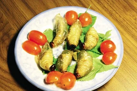 Rùng mình đi ăn côn trùng ở Hà Nội ảnh 3