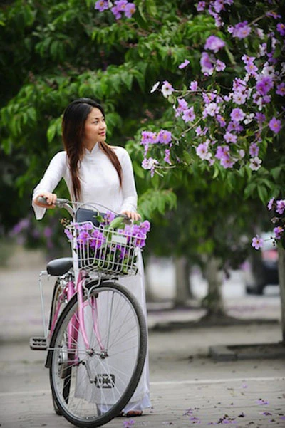 Bằng lăng tím vẫy gọi hè ảnh 10