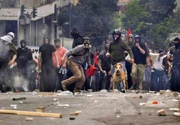 Chó Kanellos tham gia biểu tình ảnh 1