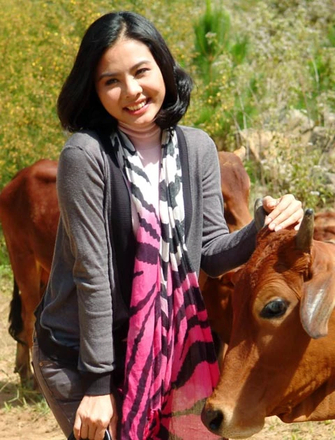 Vân Trang làm dáng giữa... đàn bò ảnh 1